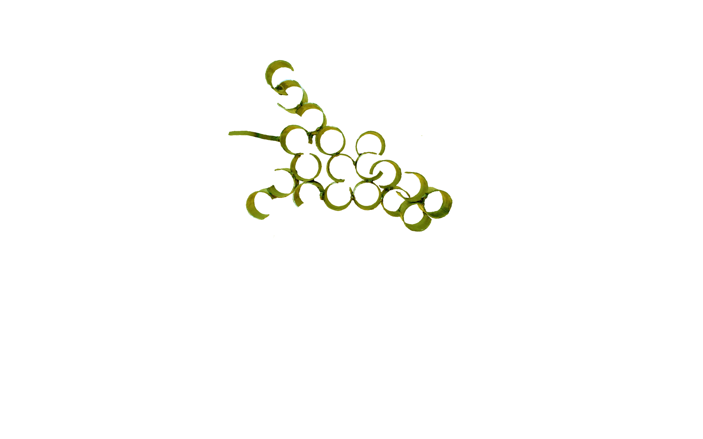 Bodega Palacio de Nevares